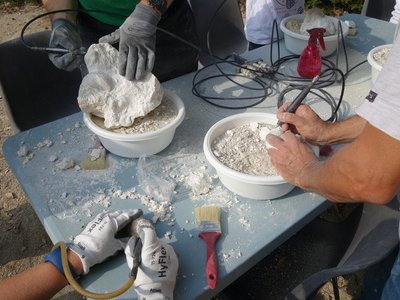 Atelier d'initiation au dégagement de fossiles