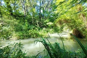 Noves au fil de l'eau