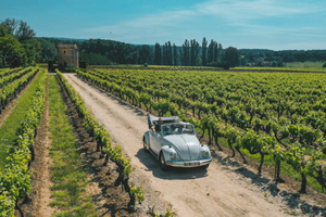 Yes Provence - The Vintage Roads