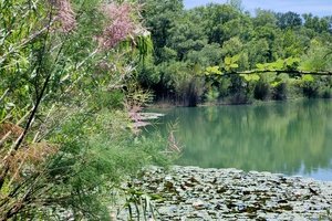 Noves au fil de l'eau