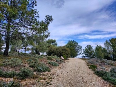 Le Sentier Botanique