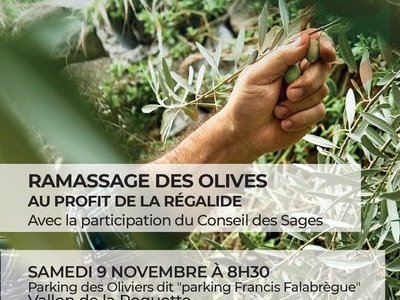 Ramassage des olives