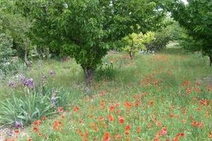 Le Saint Pons