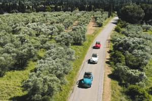 Yes Provence - The Vintage Roads