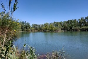 Noves au fil de l'eau