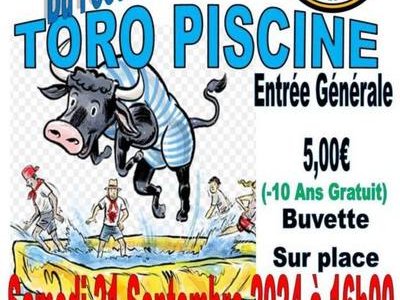 Toro Piscine